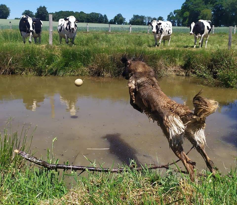 A la ferme