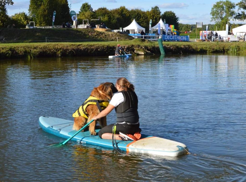 Paddle