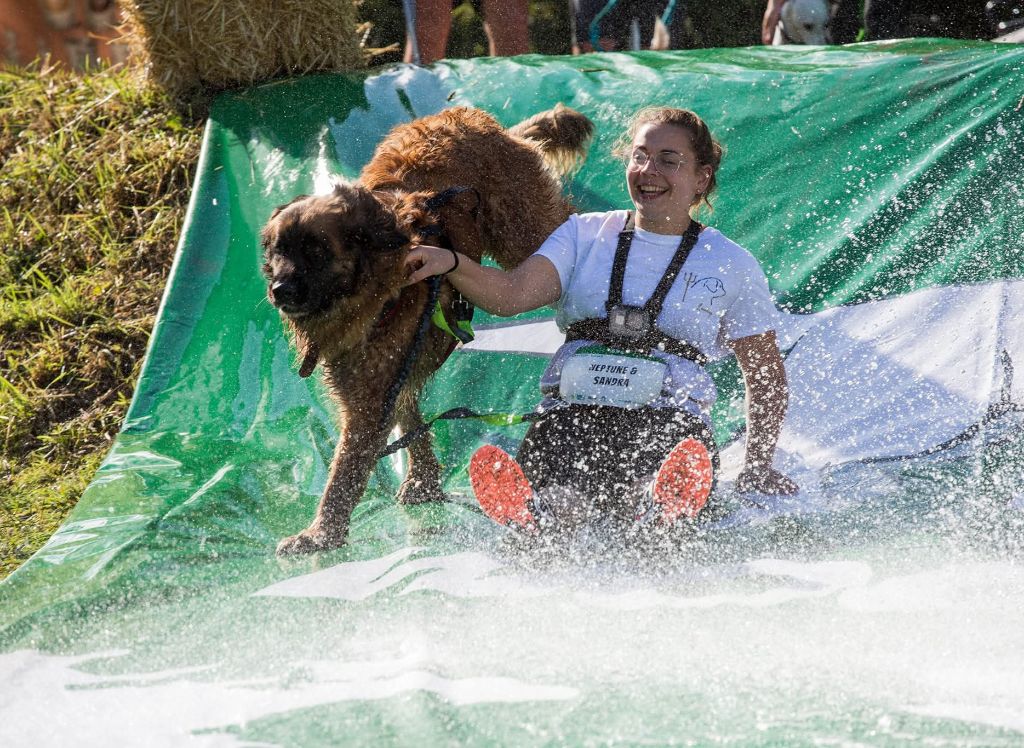 Course à obstacles