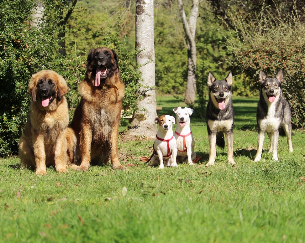 Avec les copains